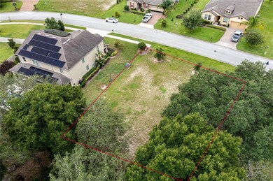 30134 Bretton Loop, Mount Dora, FL 32757 - photo 2