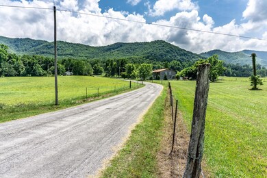 625LawingC_043