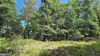Lot 7 Justin Ln, Great Cacapon, WV 25422 - photo 6