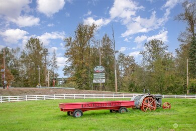 4466 Tolt Ave, Carnation, WA 98014 - photo 6