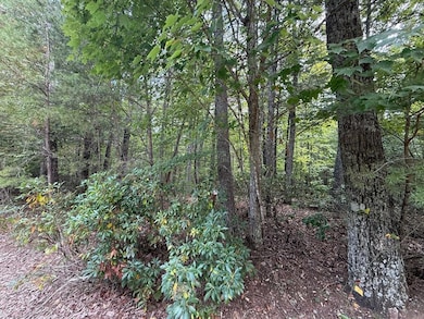 0 Marks Path unit 923123, Henry, VA 24102 - photo 3