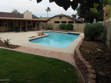 back yard pool.jpg