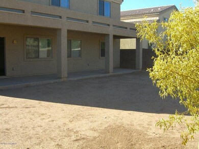 back yard