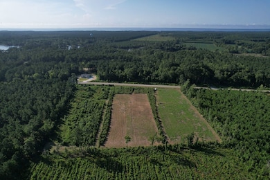 Off Straight Rd unit LotWP001, Oriental, NC 28571 - photo 3