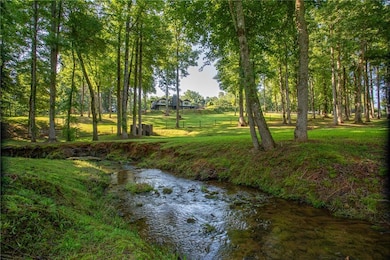 6632 Mountain Meadow Dr, Clermont, GA 30527 - photo 6