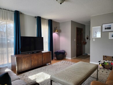 1401 N Orange St, Fredericksburg, TX 78624 - photo 4