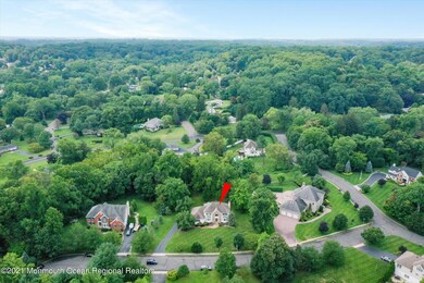 Drone View