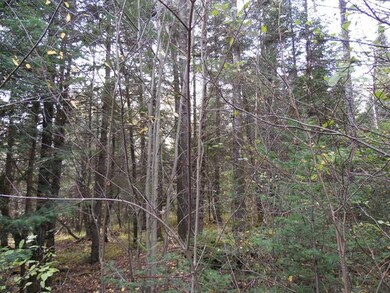 ON Cth T, Tripoli, WI 54564 - photo 5