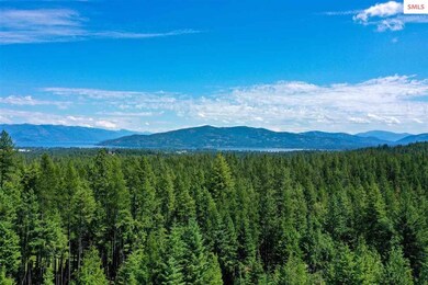 721 Wood View Rd, Sandpoint, ID 83864 - photo 7