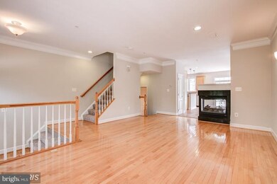 503 Pelican Ave, Gaithersburg, MD 20877 - photo 5