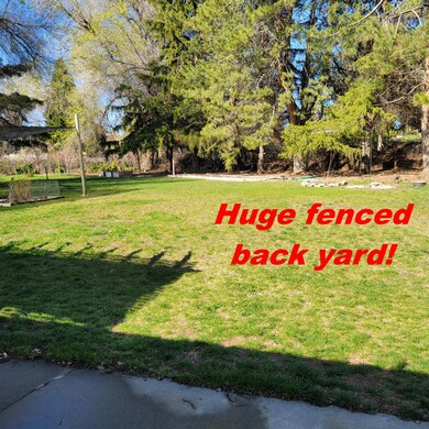 Back yard 2