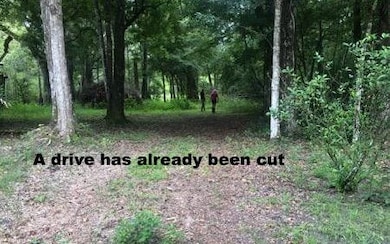 426 SW Santa fe Dr, Fort White, FL 32038 - photo 2