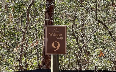 Lot 9 Wolfpen Gap, Hiawassee, GA 30546 - photo 6