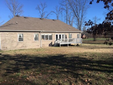 Large, quiet backyard
