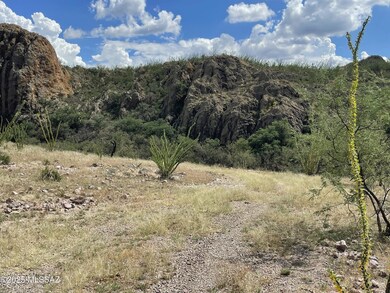 SAL 87.88 IMG_9763 (1)