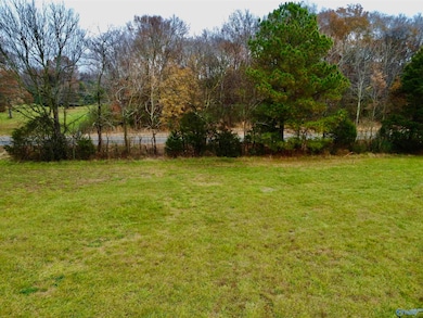 Tract 3 County Road 89, Anderson, AL 35610 - photo 5