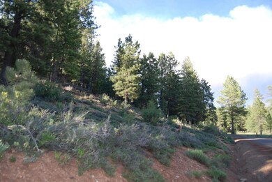 850 N Harris Spring Rd, Duck Creek Village, UT 84762 - photo 5