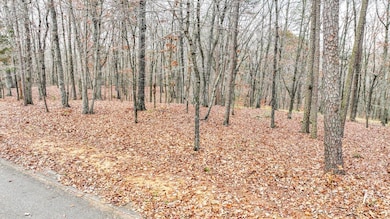 LOT 66 Preserve Blvd, Savannah, TN 38372 - photo 5