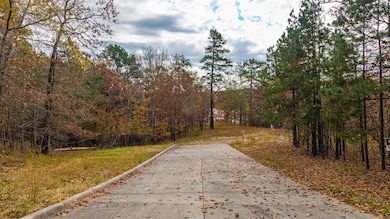 238 Dellmere Dr, Hot Springs, AR 71913 - photo 2