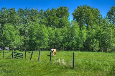 13830 (Lot A) Cottonwood Rd, Bozeman, MT 59718 - photo 5