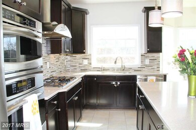 25034 Graywacke Dr, Stone Ridge, VA 20105 - photo 5