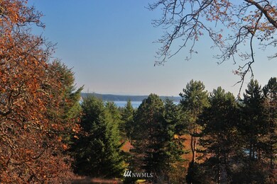 1632 Cattle Point Rd, Friday Harbor, WA 98250 - photo 3
