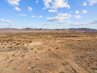 6-web-or-mls-DJI_20250318205955_0152_D