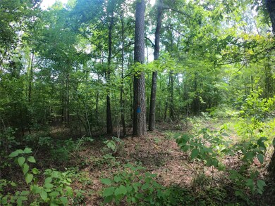 View of local wilderness