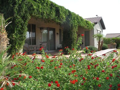 Back Patio