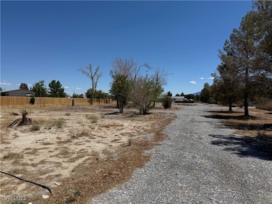 2171 W Basin Ave, Pahrump, NV 89048 - photo 2