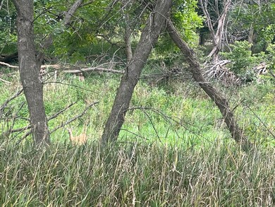 Stamford unit NE 68977, Stamford, NE 68977 - photo 7