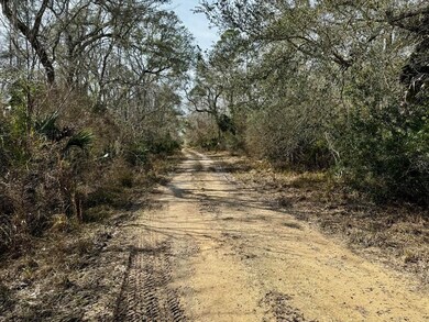 Vacant 1 62 Rd, Lamont, FL 32336 - photo 3
