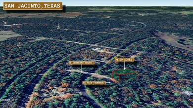 Dewberry Ct unit Huntsville TX 77320, Huntsville, TX 77320 - photo 3