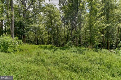 0 N Otter Creek Rd unit VABV2000242, Bedford, VA 24523 - photo 7