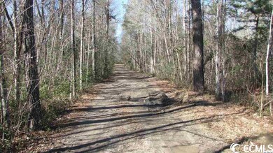 36.2 Acres Privetts Rd unit 36.20 Acres, W/20' R, Conway, SC 29526 - photo 6