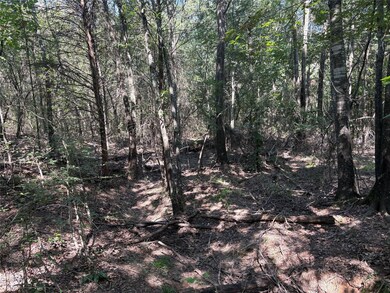 0 Fm 69 unit 24739380, Como, TX 75431 - photo 7