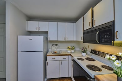 193 Oak St unit 403, Newton Upper Falls, MA 02464 - photo 3