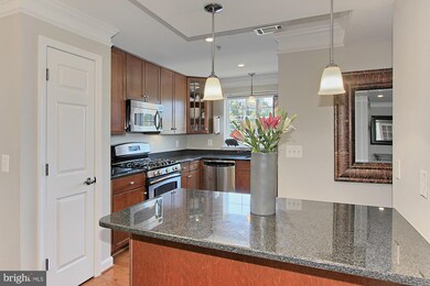 4191 S Four Mile Run Dr unit 303, Arlington, VA 22204 - photo 5