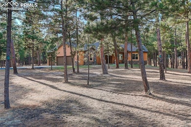 14994 Snowy Pine Point, Colorado Springs, CO 80908 - photo 5