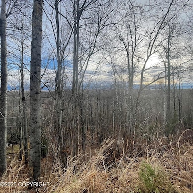 5500 W Birch Harbor Dr, Knik-Fairview, AK 99654 - photo 6