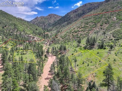 6085 Wellington Rd, Cascade, CO 80809 - photo 6