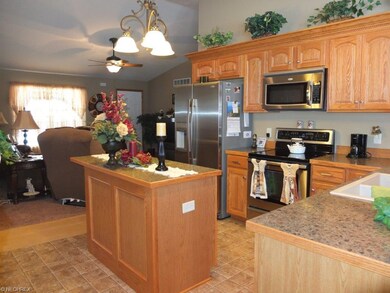 Open kitchen and great room.