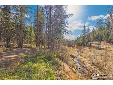 755 Fox Creek Rd, Glen Haven, CO 80532 - photo 3