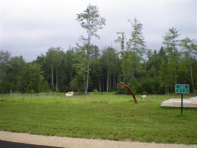 Lot 3 Farm Pond Ln unit Lot 3, Tuftonboro, NH 03816 - photo 3