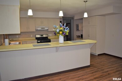 2191 Benson Rd, Jacksonville, IL 62650 - photo 7