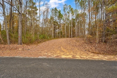 0 County Road 1506, Cullman, AL 35058 - photo 6