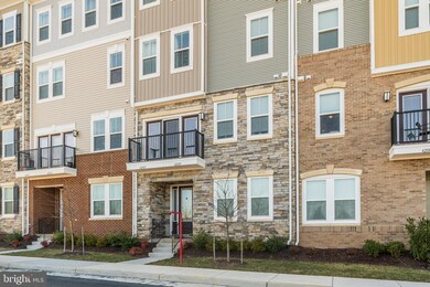 42005 Berkley Hill Terrace, Stone Ridge, VA 20105 - photo 3