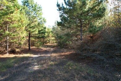 Tbd Fm 1650, Gilmer, TX 75645 - photo 4