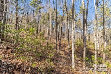 99999 Parker Rd, Asheville, NC 28805 - photo 6