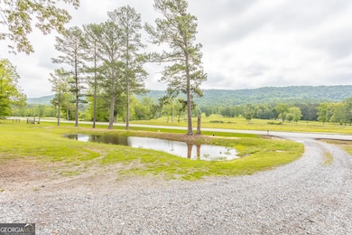 9744 Highway 151, Trion, GA 30753 - photo 2